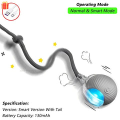 Cat Interactive Ball Toy Automatic Rolling Ball Faux Tail Rechargeable Smart Pet Electric Toy Pet Toy Imitate Mouse