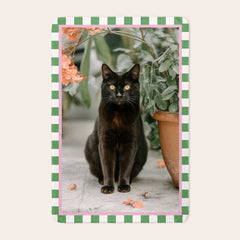 Fleece photo blanket - Extra warm - Animals - 100 x 150 cm